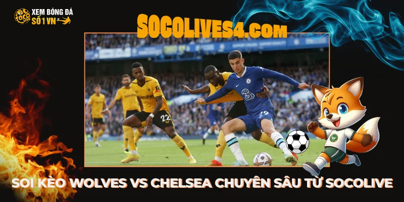 Soi kèo Wolves vs Chelsea chuyên sâu từ dữ liệu Socolive